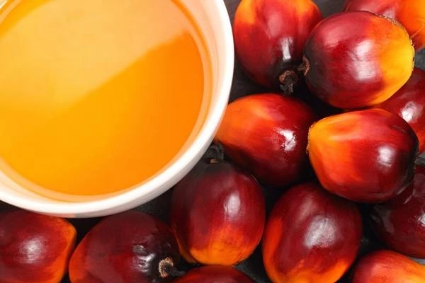 Which Country Produces the Most Palm Fruit Oil in the World?